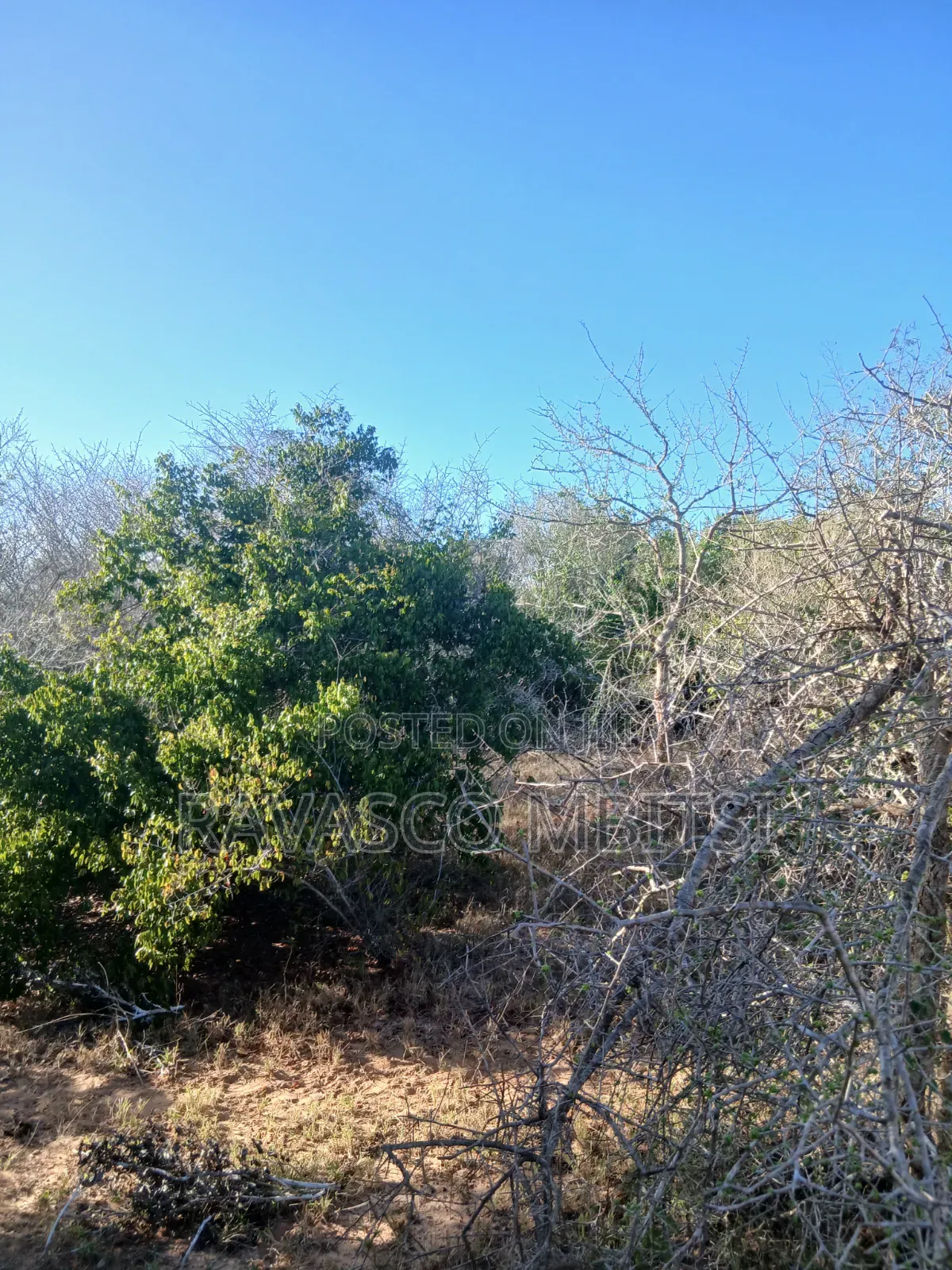 12 Acres Forsale in Malindi Marafa Matopeni Good for Farming in Marafa