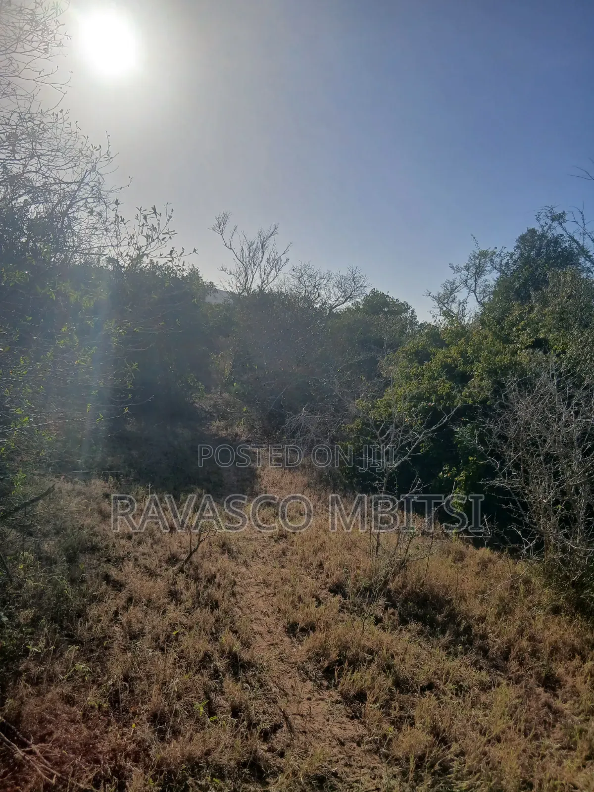 12 Acres Forsale in Malindi Marafa Matopeni Good for Farming in Marafa