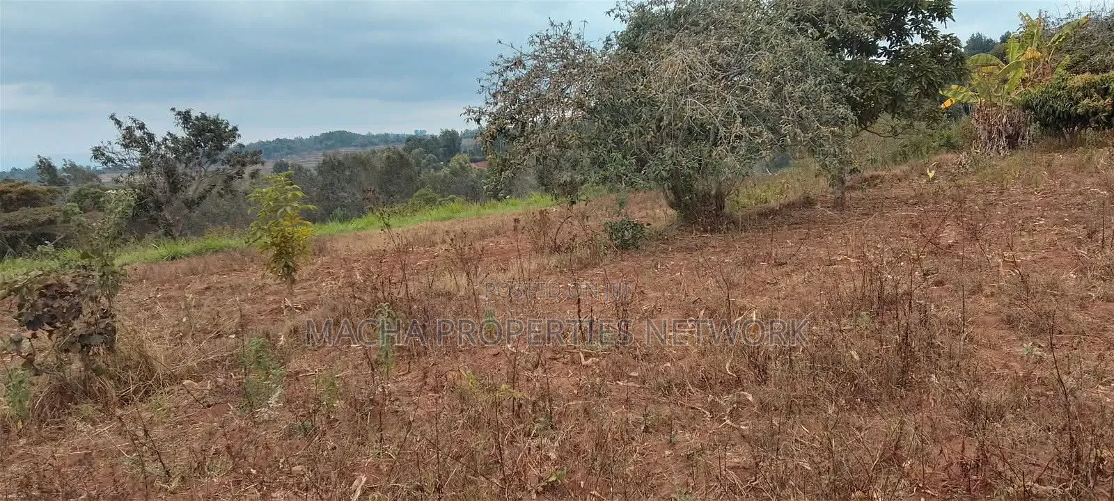 3/4 Acre Plot- Mua Hills Syasila in Mua Hills