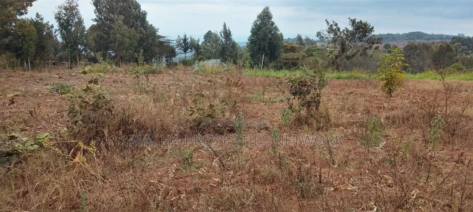 3/4 Acre Plot- Mua Hills Syasila in Mua Hills