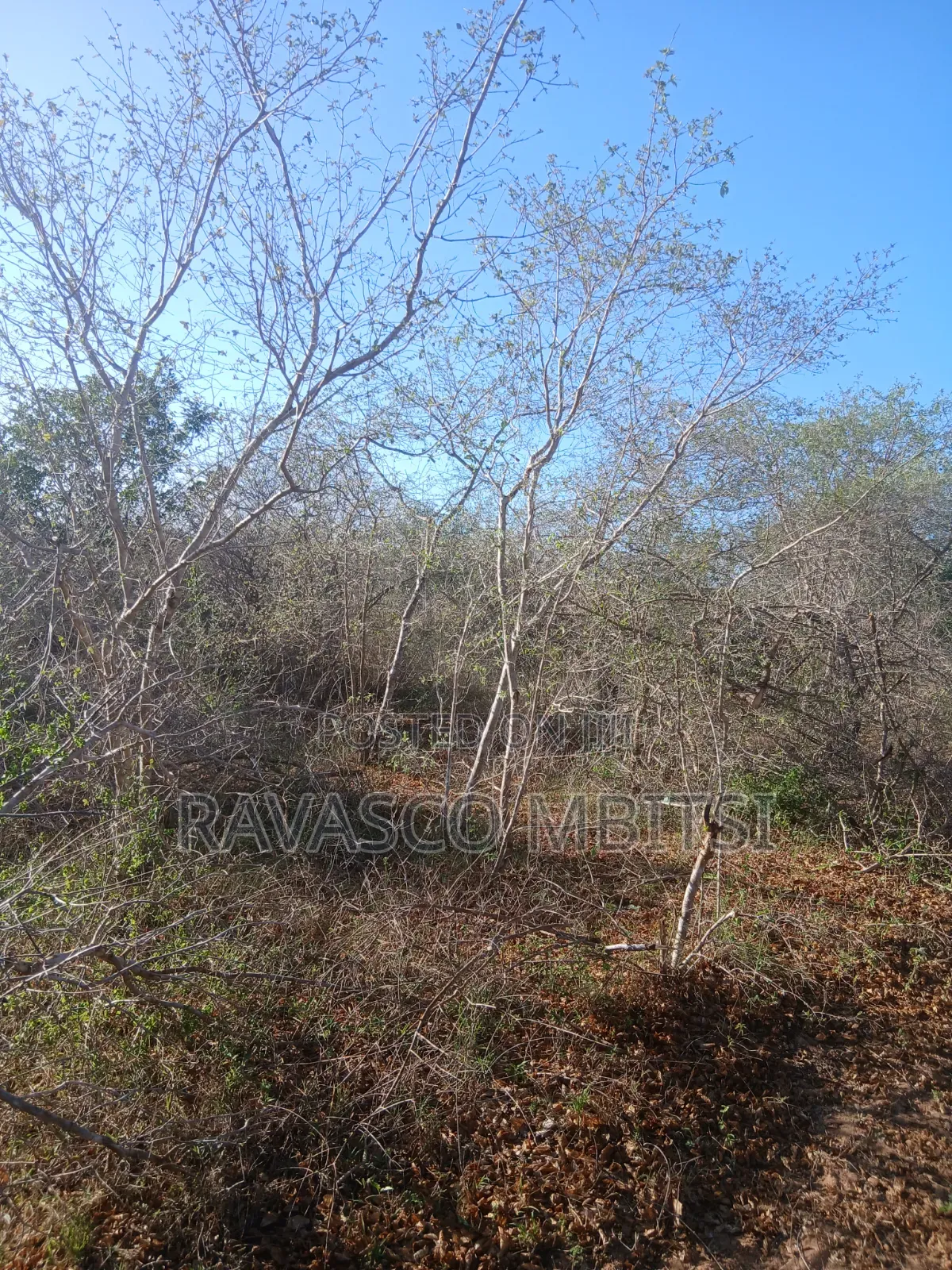 50 Acres Forsale in Malindi Boreshingwaya in Marafa