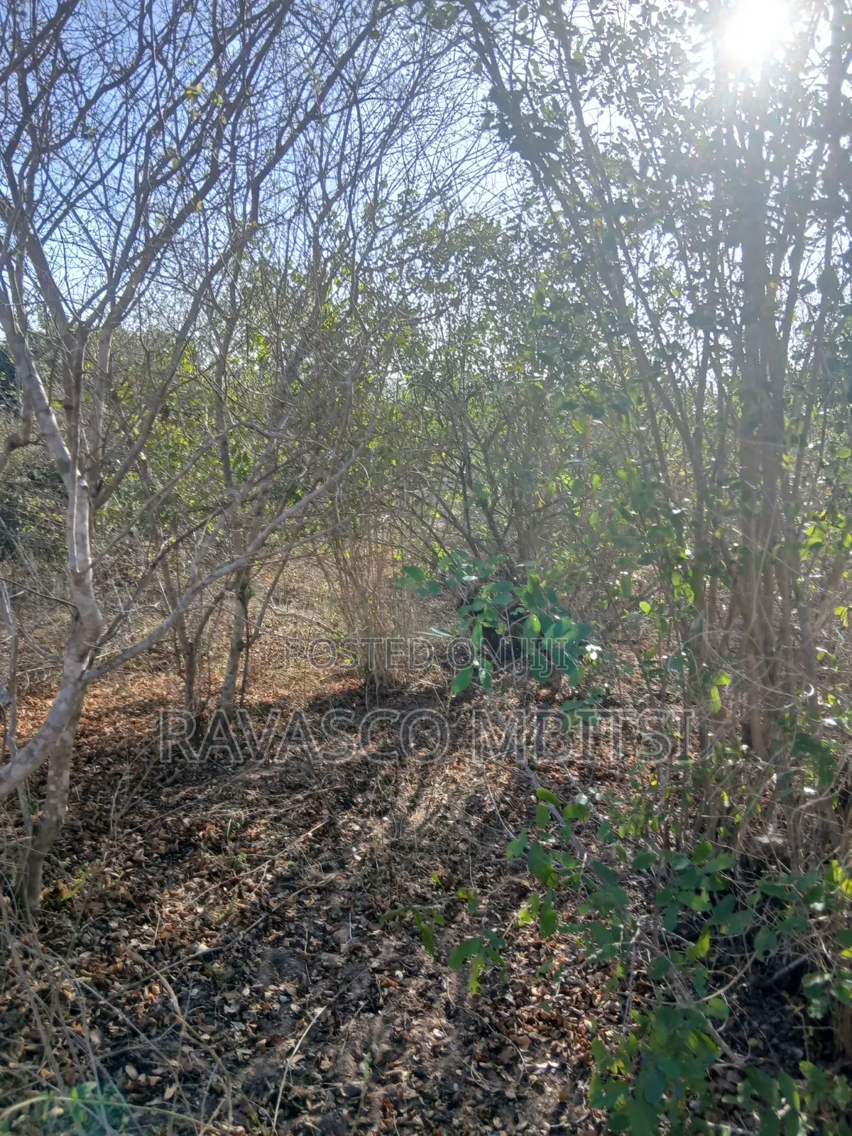 50 Acres Forsale in Malindi Boreshingwaya in Marafa