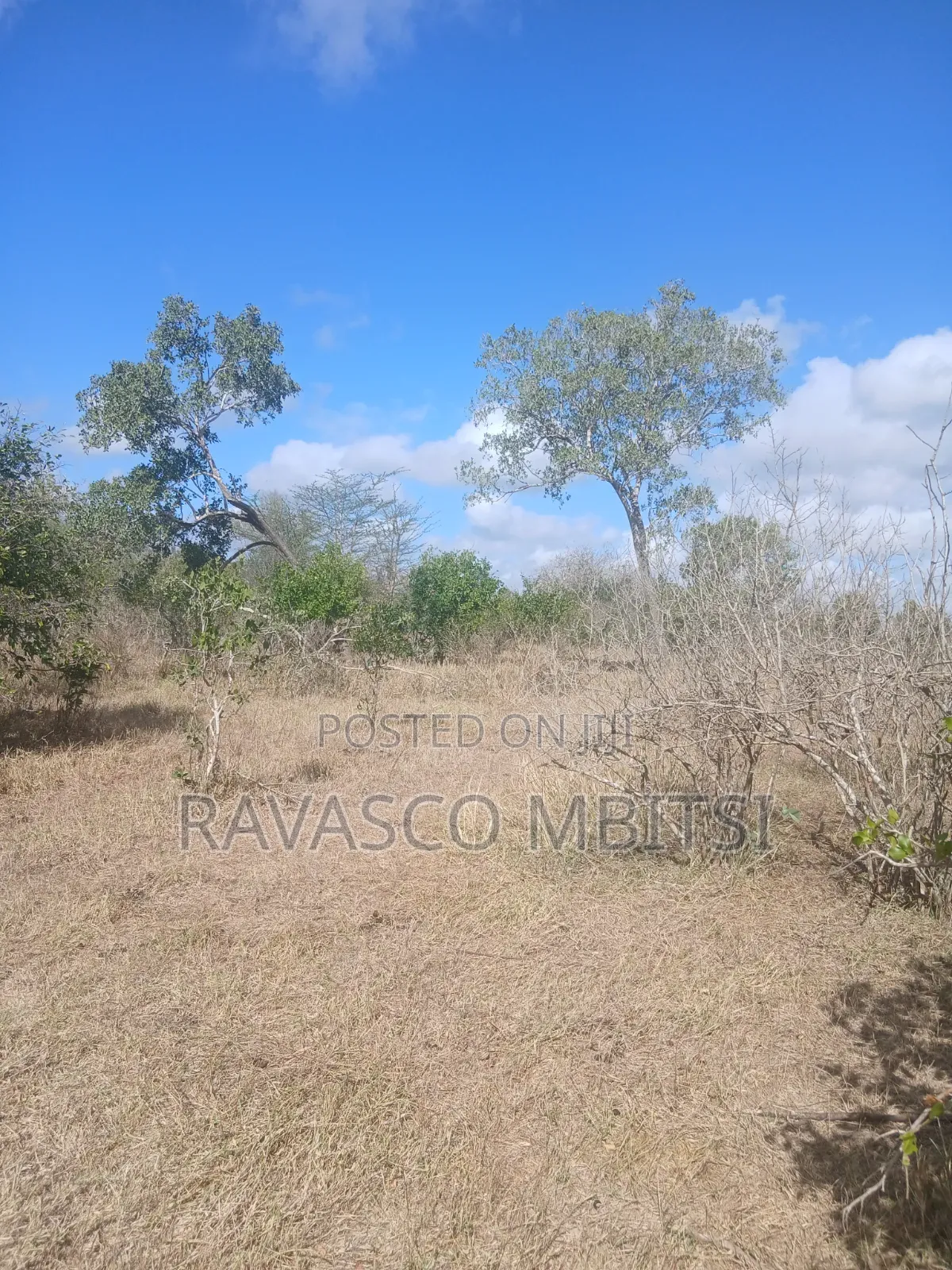 50 Acres Forsale in Malindi Boreshingwaya in Marafa