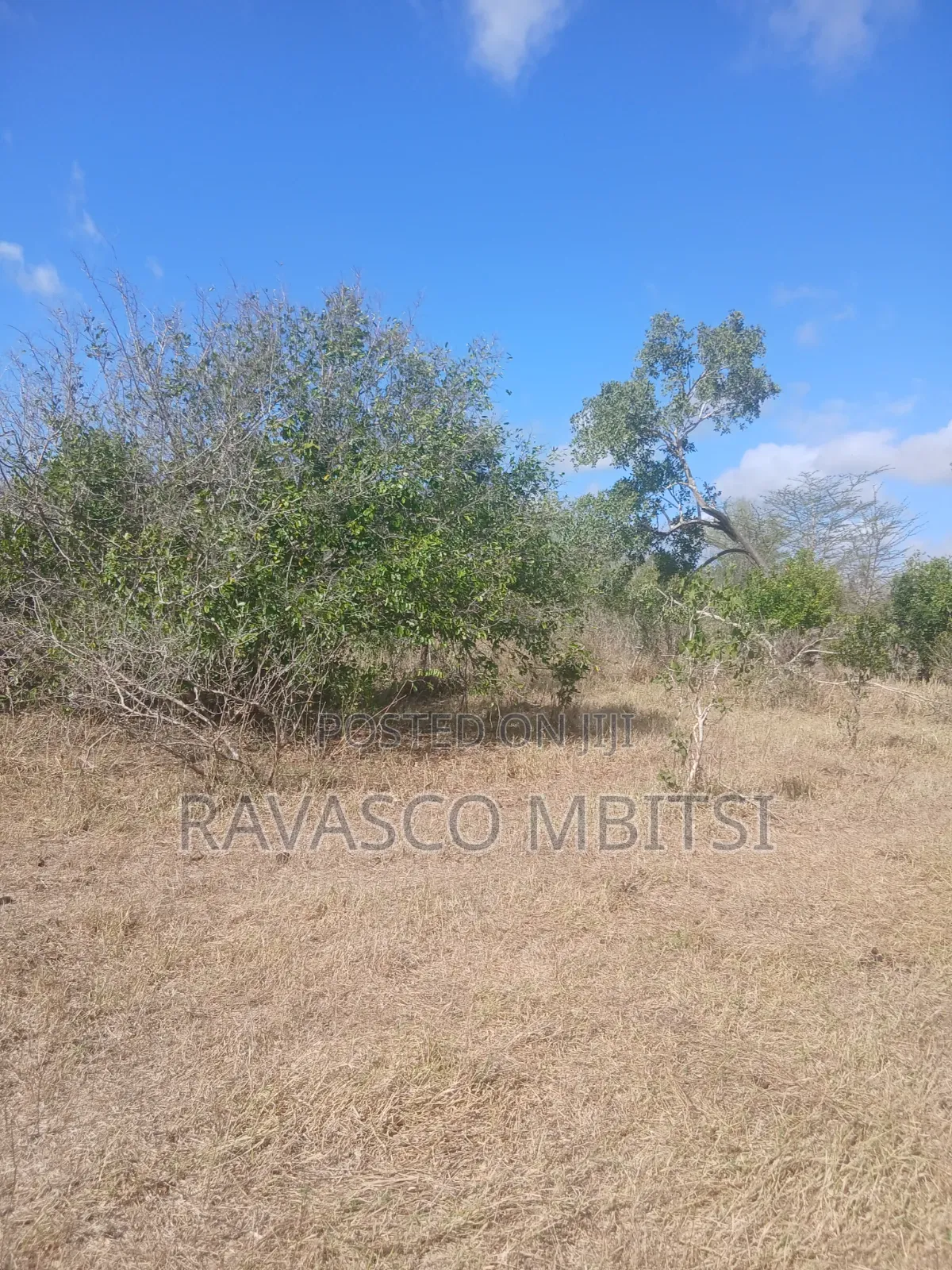 50 Acres Forsale in Malindi Boreshingwaya in Marafa