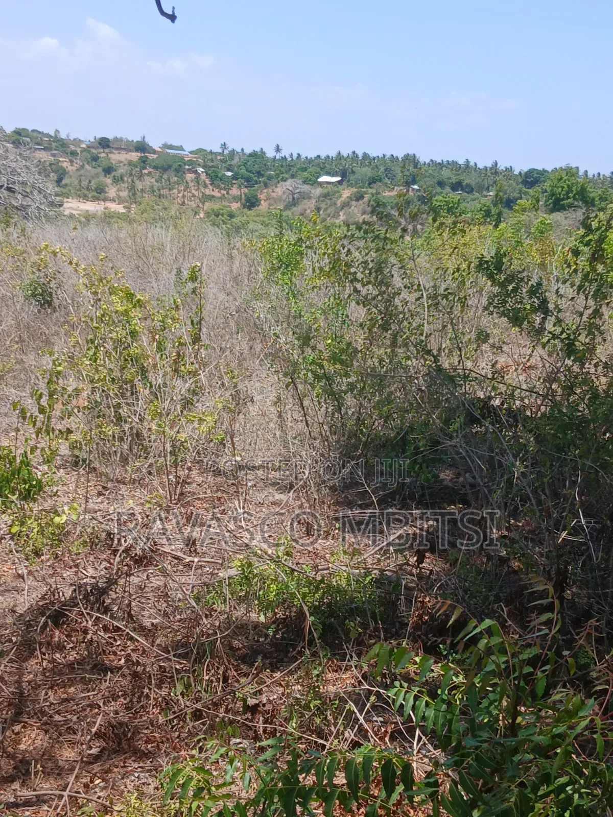 5 Acres Forsale in Kilifi Takaungu in Kilifi Town