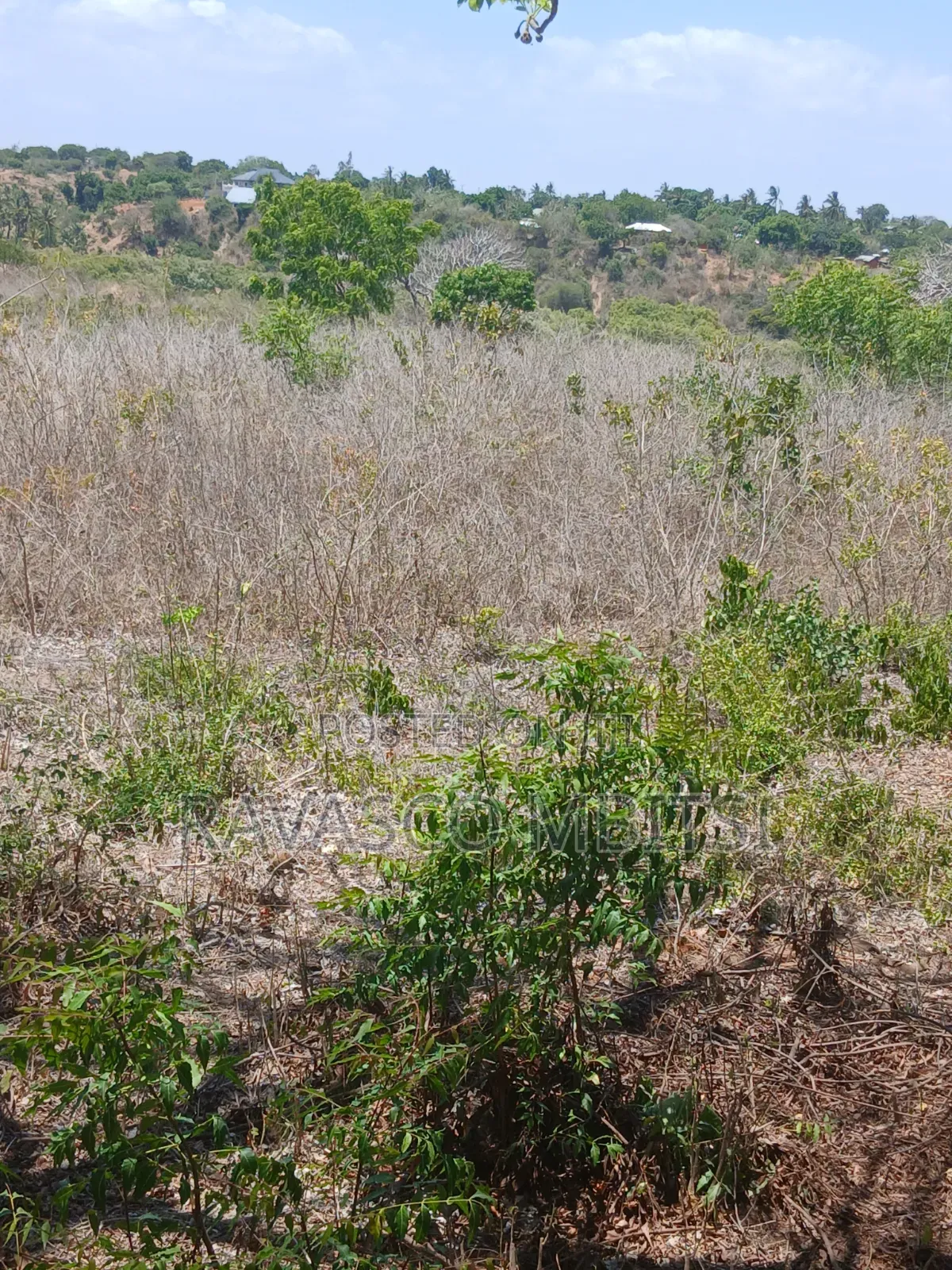 5 Acres Forsale in Kilifi Takaungu in Kilifi Town