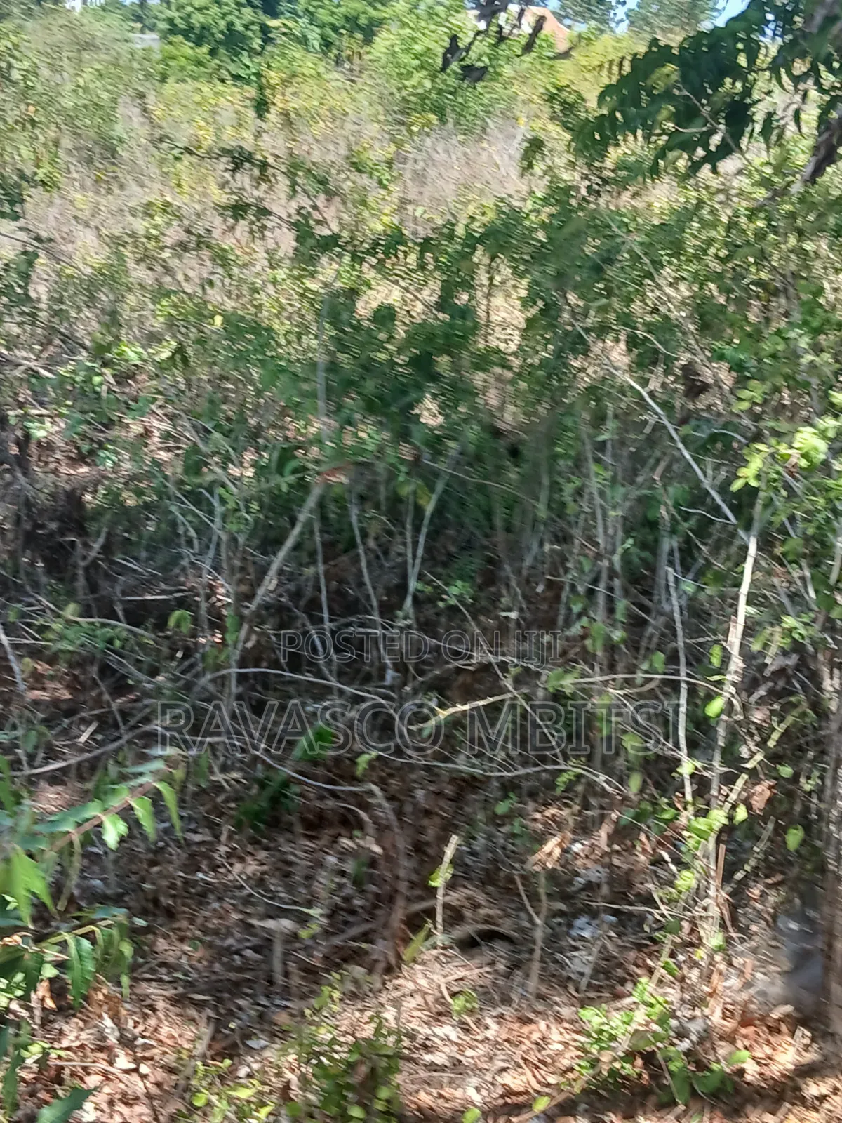 5 Acres Forsale in Kilifi Takaungu in Kilifi Town