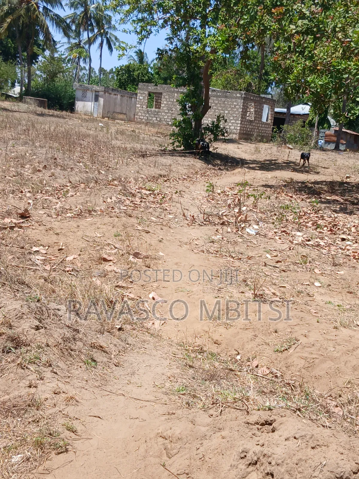 3 Acres Forsale in Kilifi Mavueni Near to Bahari Girls Secondary SCH in Kilifi Town