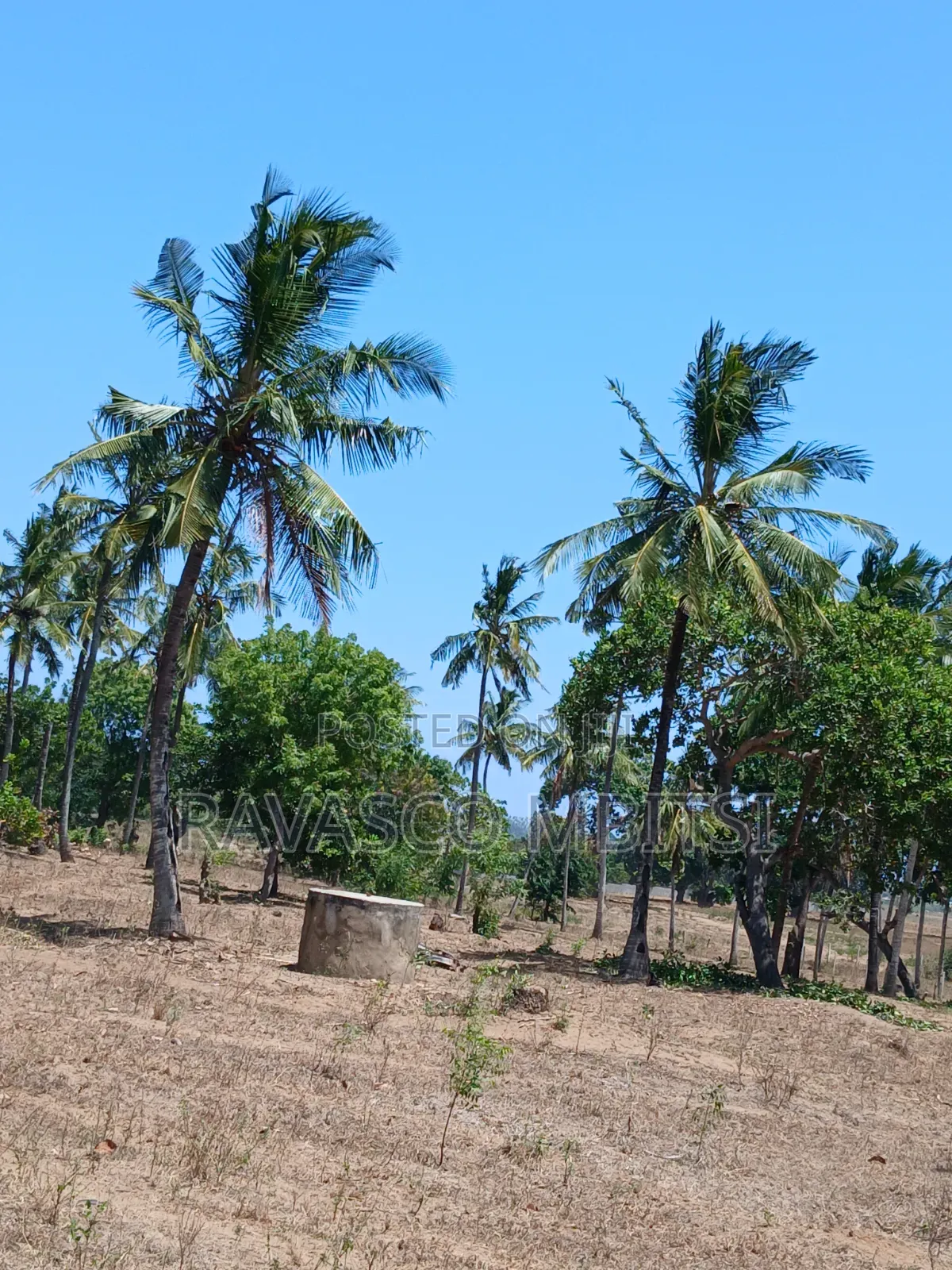 3 Acres Forsale in Kilifi Mavueni Near to Bahari Girls Secondary SCH in Kilifi Town