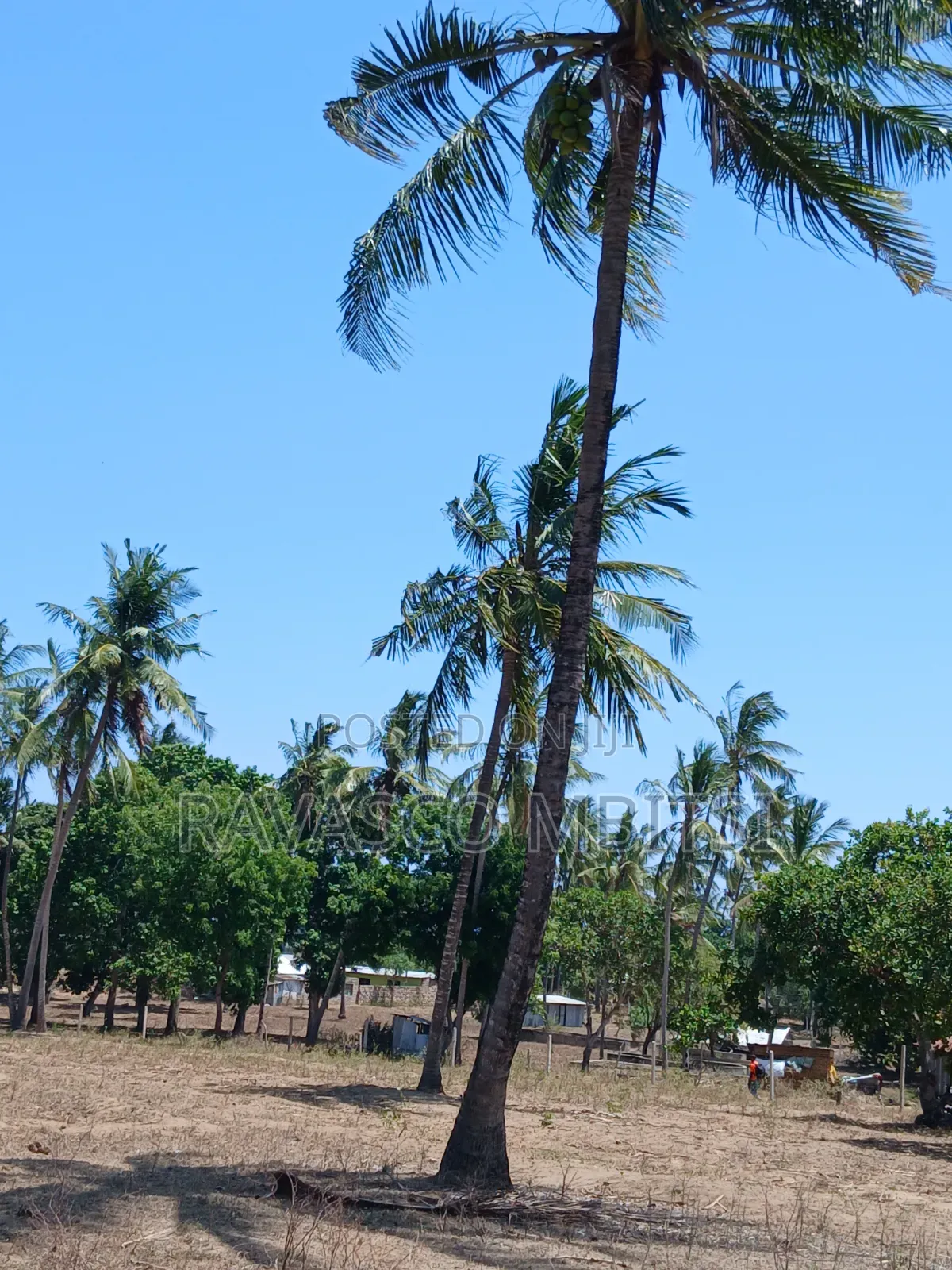3 Acres Forsale in Kilifi Mavueni Near to Bahari Girls Secondary SCH in Kilifi Town
