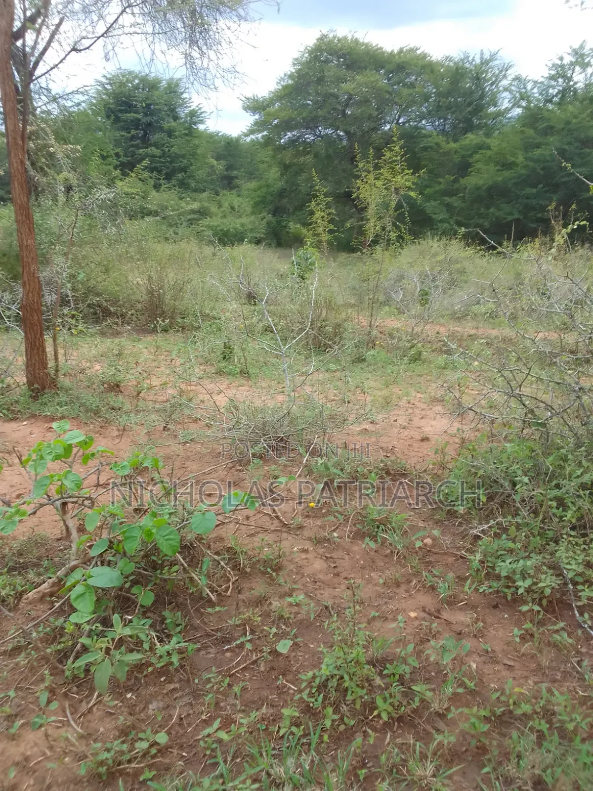 100 Acres Kajiado Kipini Selling in Mbirikani