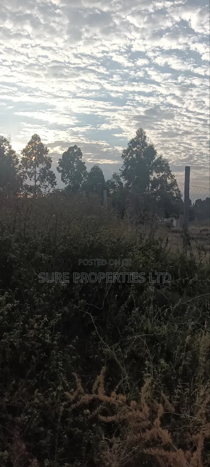 100x100 Prime Plot Kamangu Thigio in Kikuyu