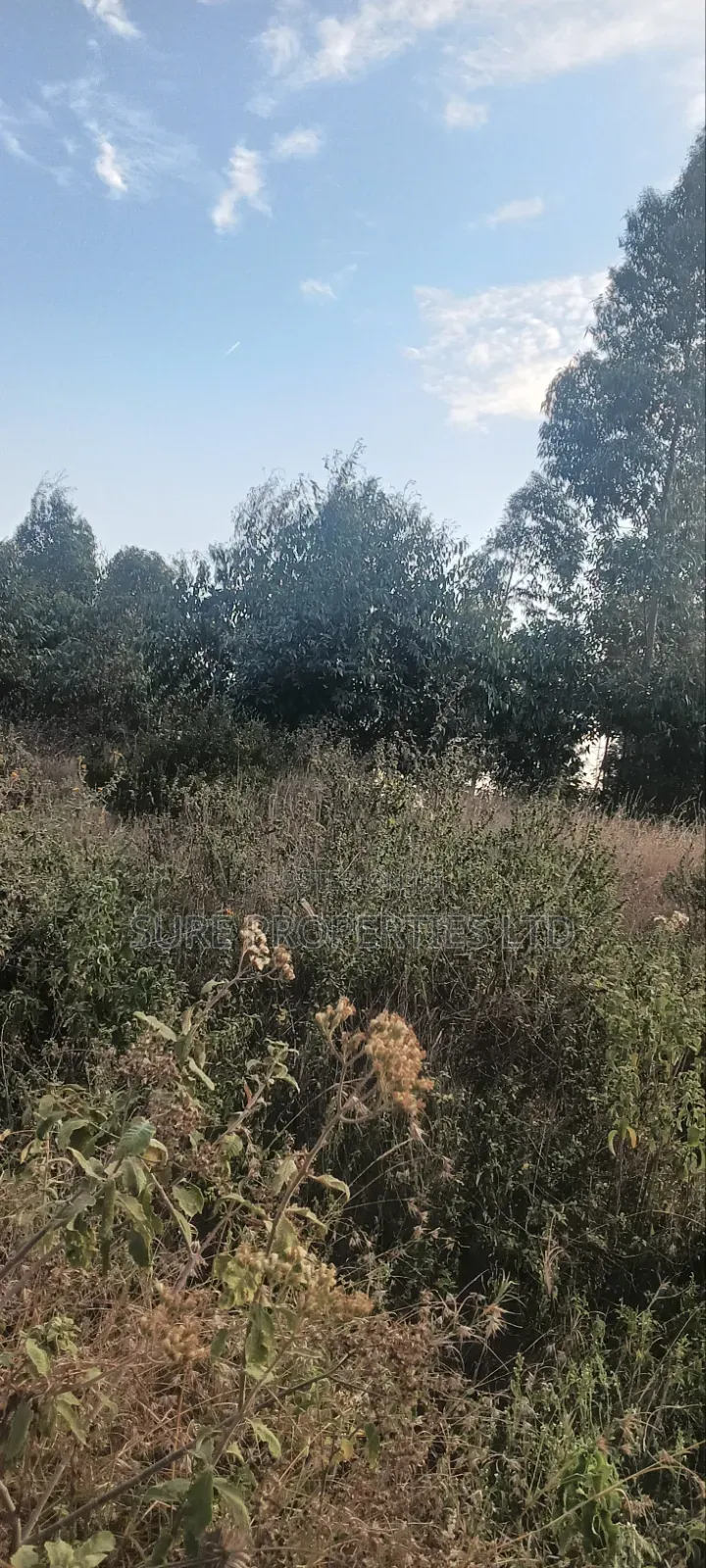100x100 Prime Plot Kamangu Thigio in Kikuyu