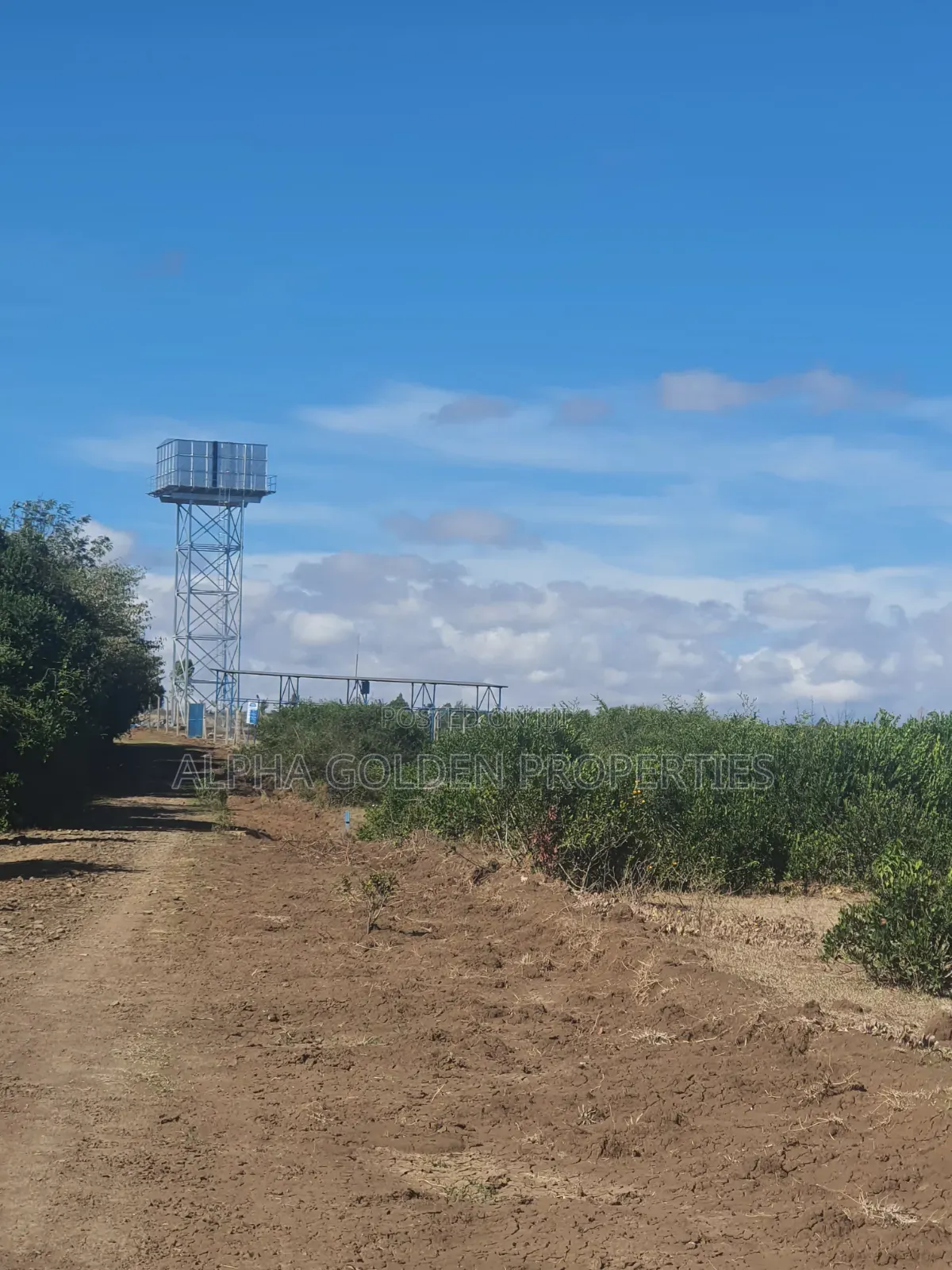 1 Acre on Sale [ Sweetwaters] Nanyuki in Nanyuki