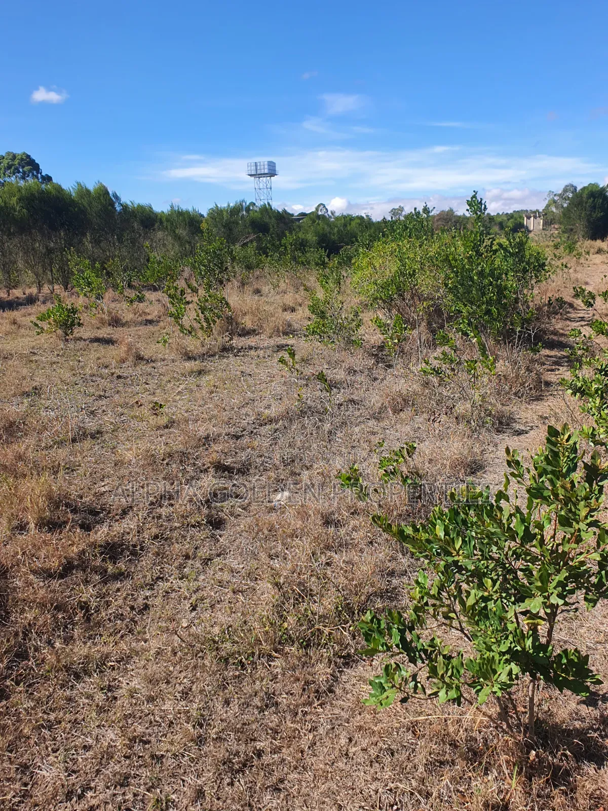 1 Acre on Sale [ Sweetwaters] Nanyuki in Nanyuki