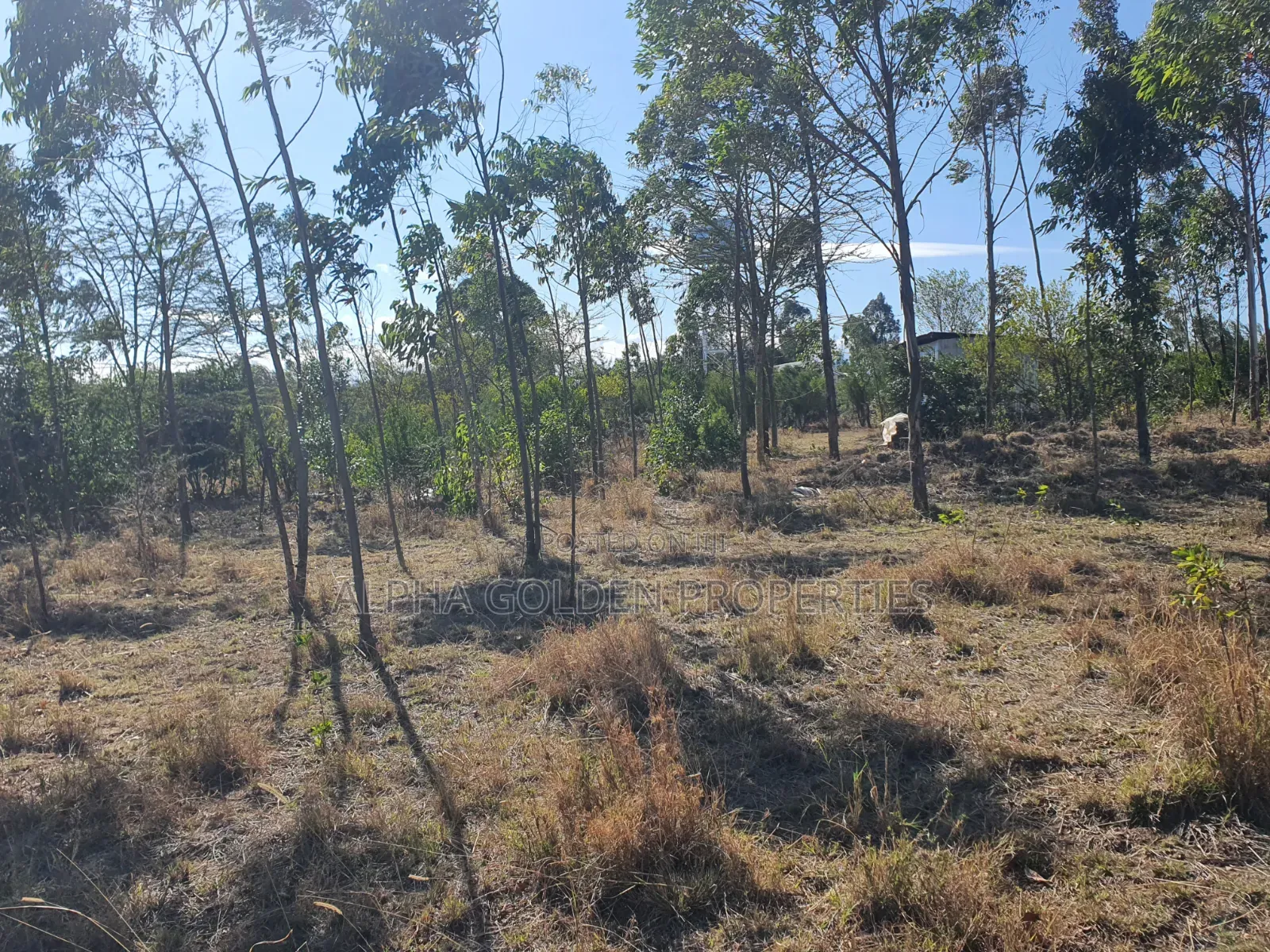 1 Acre on Sale [ Sweetwaters] Nanyuki in Nanyuki