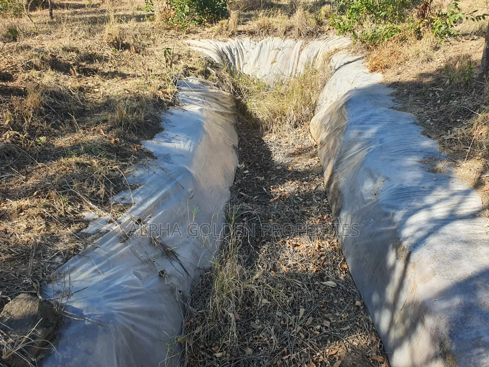 1 Acre on Sale [ Sweetwaters] Nanyuki in Nanyuki