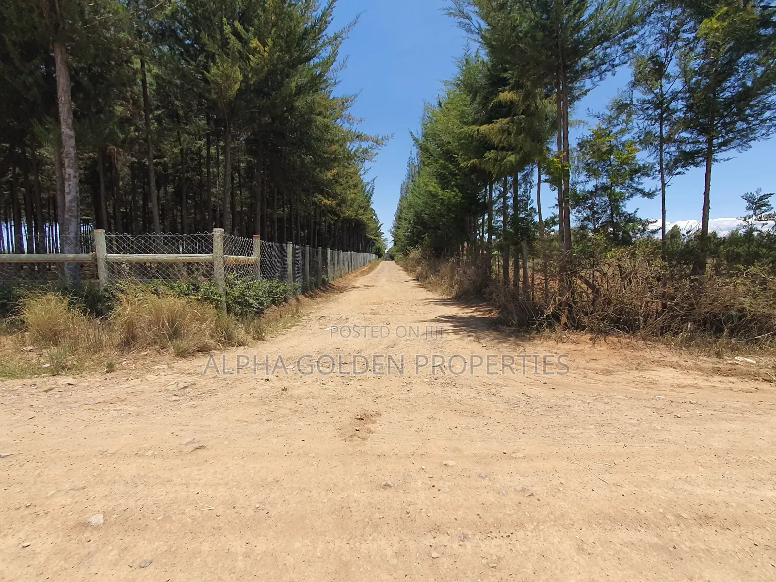 Plot Near Nanyuki Town in Nanyuki