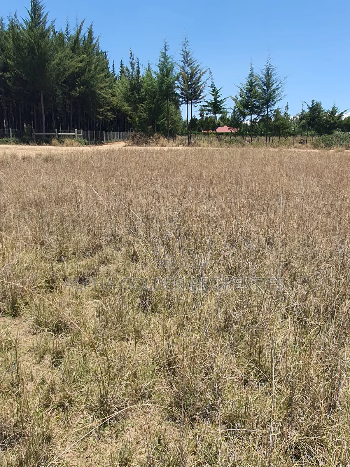 Plot Near Nanyuki Town in Nanyuki