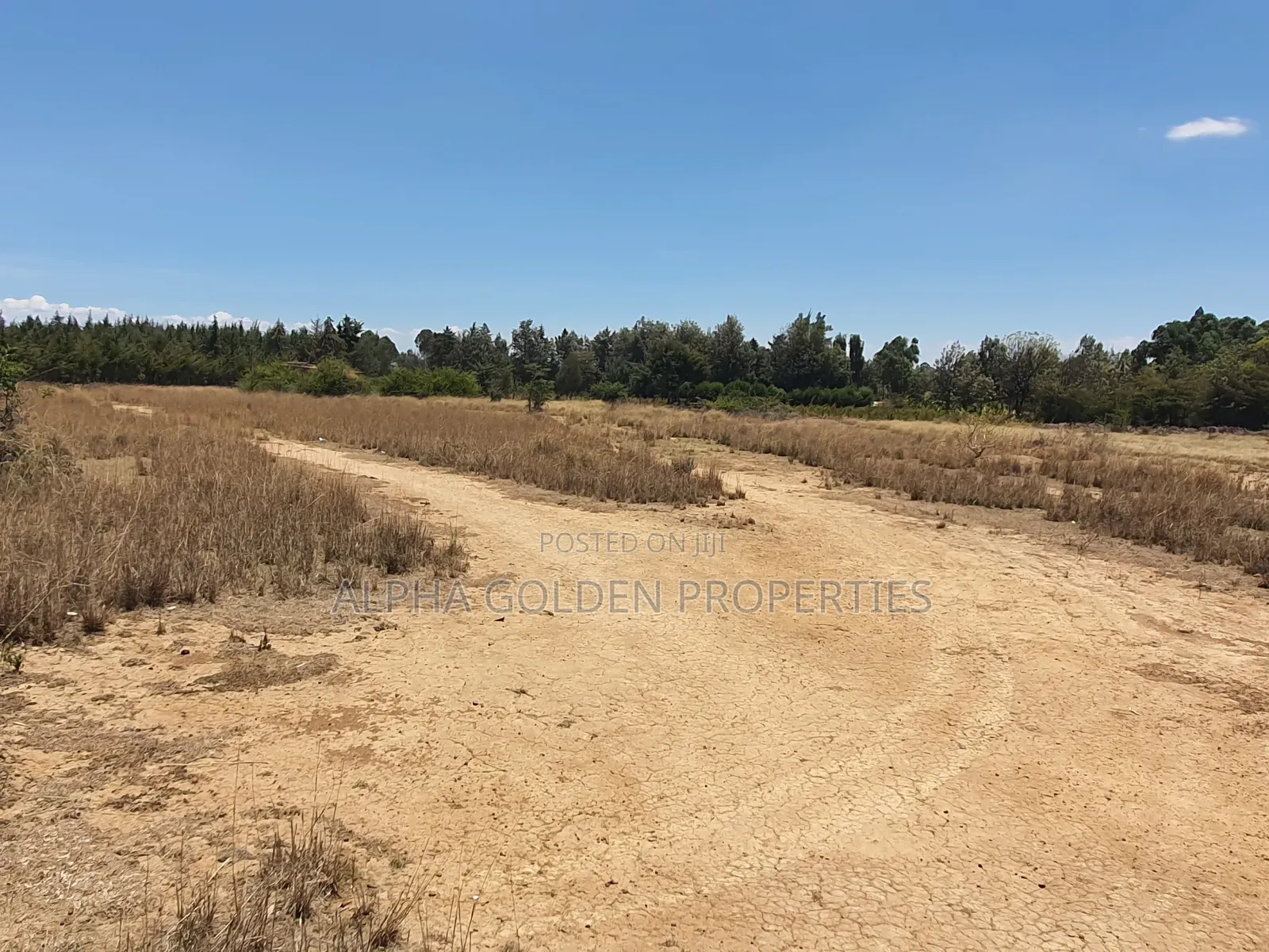 Plot Near Nanyuki Town in Nanyuki