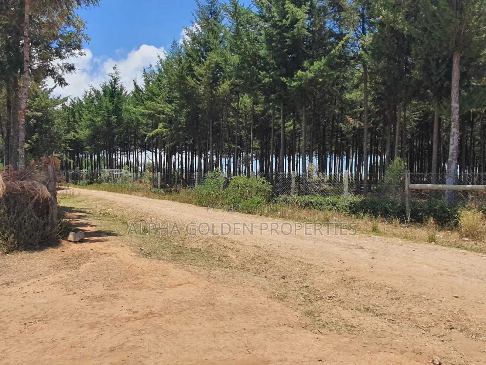 Plot Near Nanyuki Town in Nanyuki