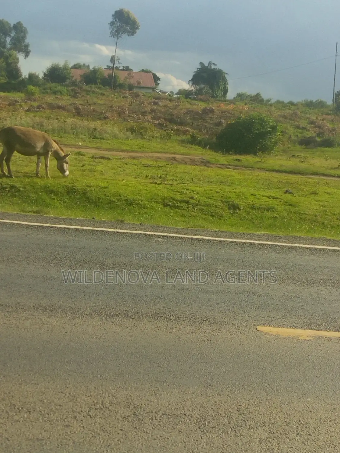 Quarter Acre Land in Kinungi, Naivasha for Sale in Naivasha