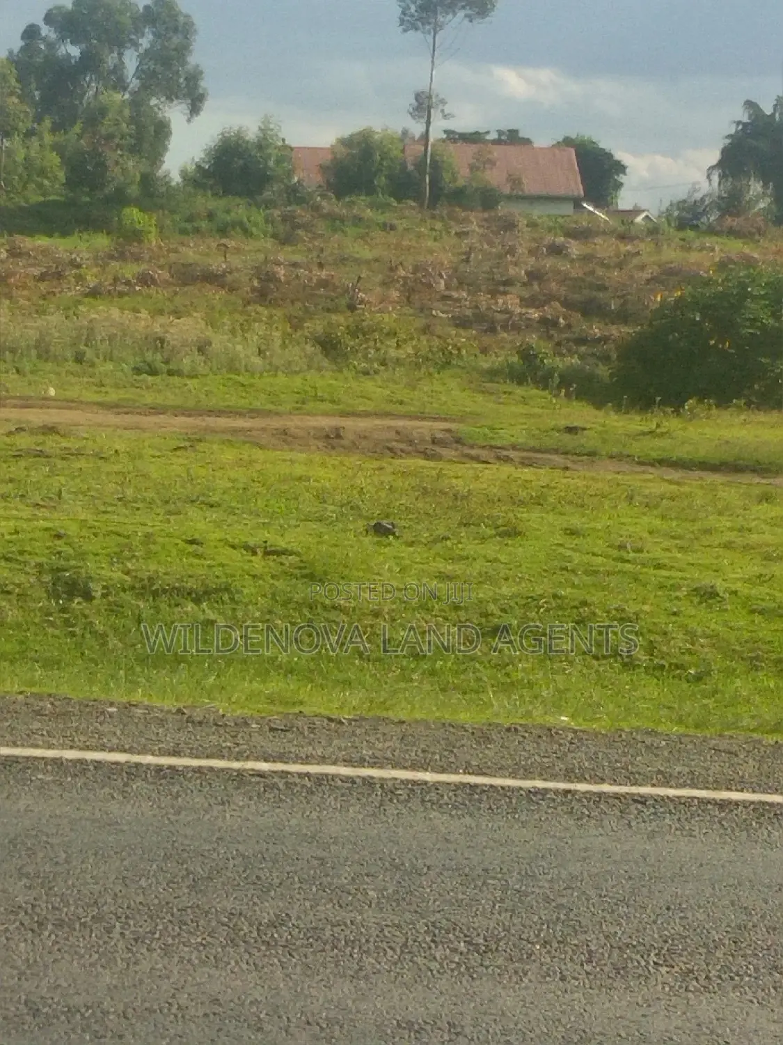 Quarter Acre Land in Kinungi, Naivasha for Sale in Naivasha