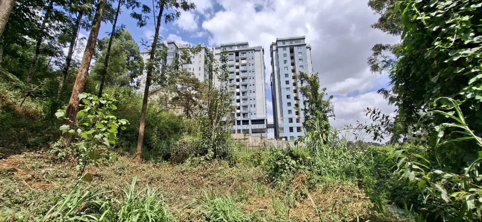 100×100 Plot for Lease — Kabete Kibichiku, Kiambu County in Wangige