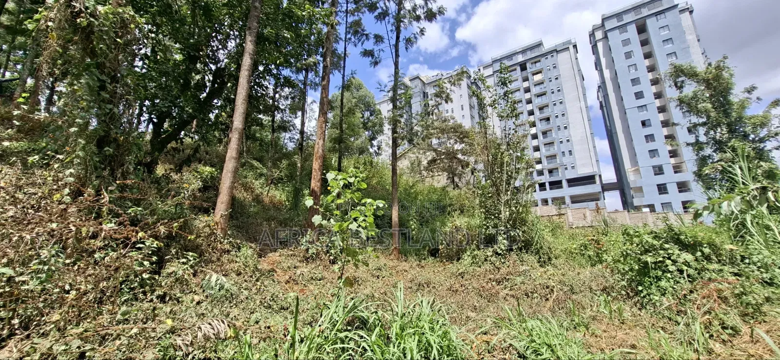 100×100 Plot for Lease — Kabete Kibichiku, Kiambu County in Wangige