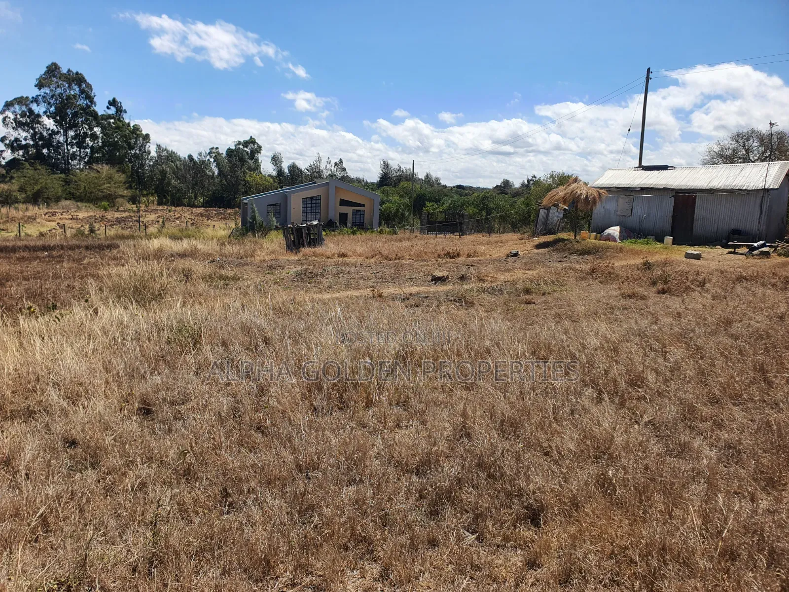Plot for Sale in Barguret in Nanyuki