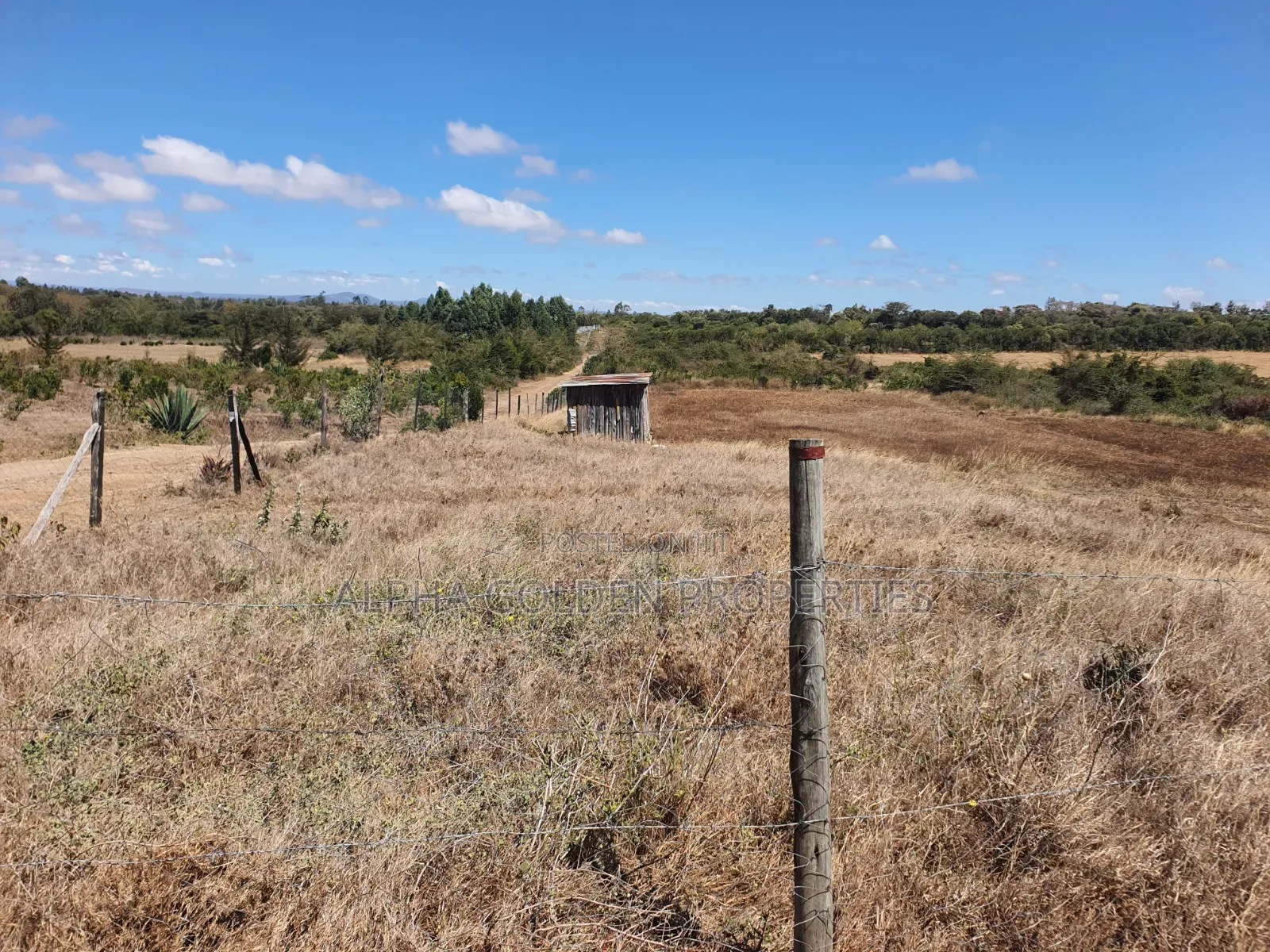 Plot for Sale in Barguret in Nanyuki