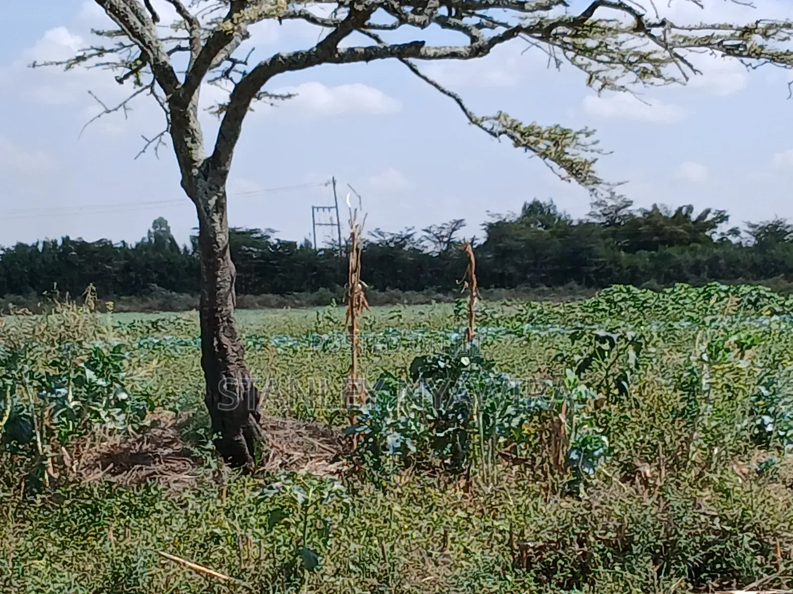 2 Acrea Nanyuki Mukima in Nanyuki
