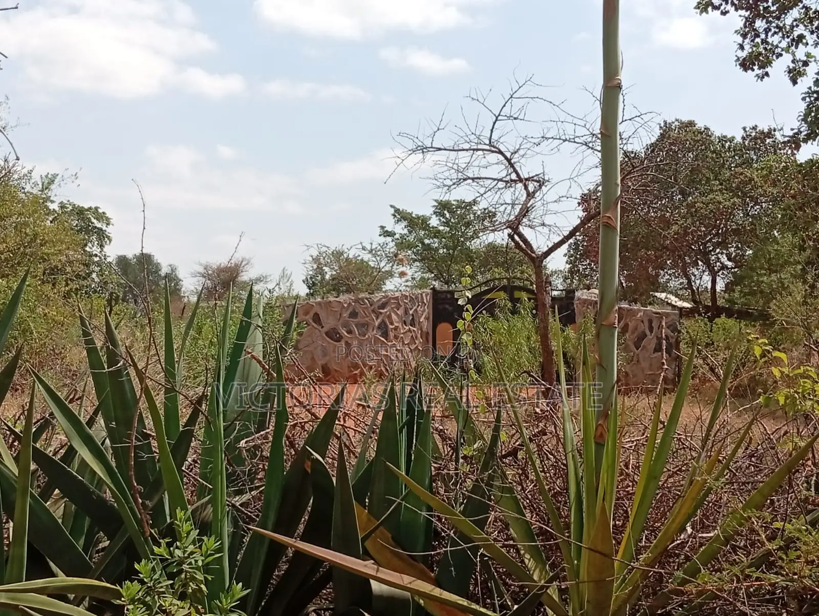 Sawasawa- Kamukunji Plot for Sale in Kivaa