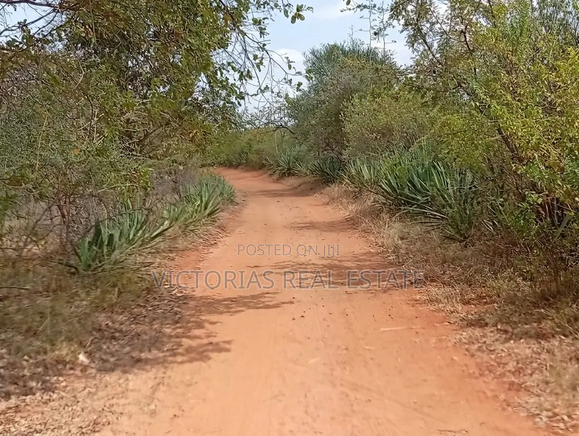 Sawasawa- Kamukunji Plot for Sale in Kivaa