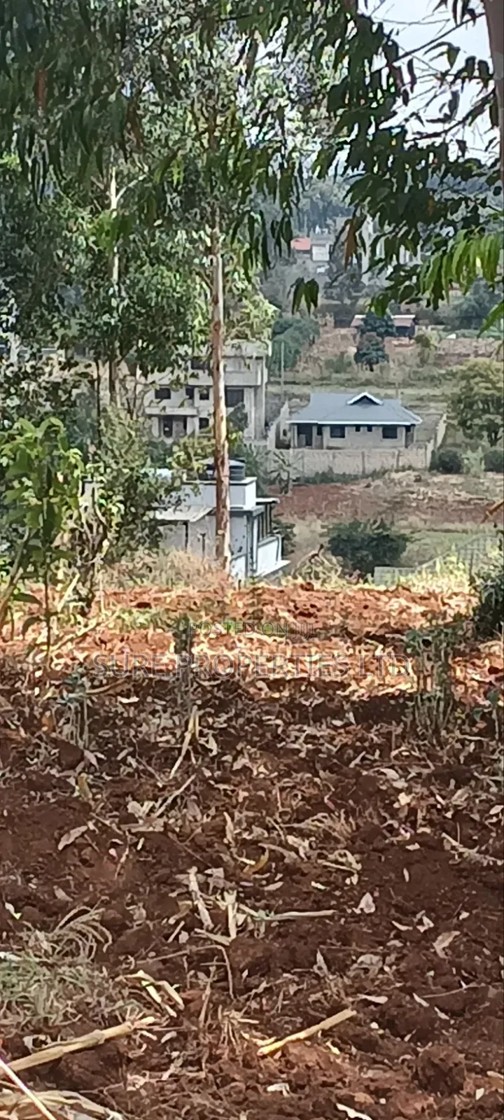 50x100 Prime Plot Lusingetti Plot in Thogoto