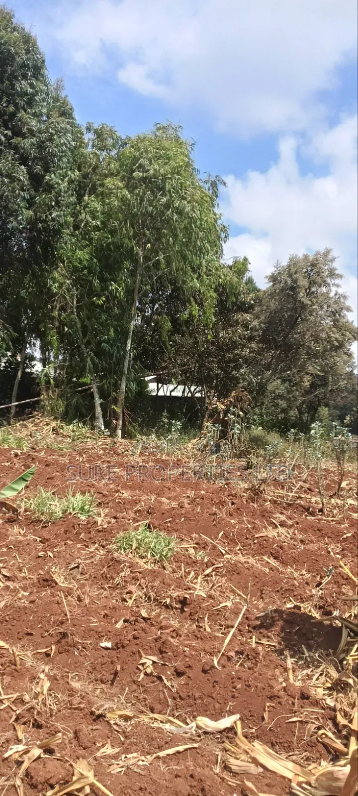 50x100 Prime Plot Lusingetti Plot in Thogoto