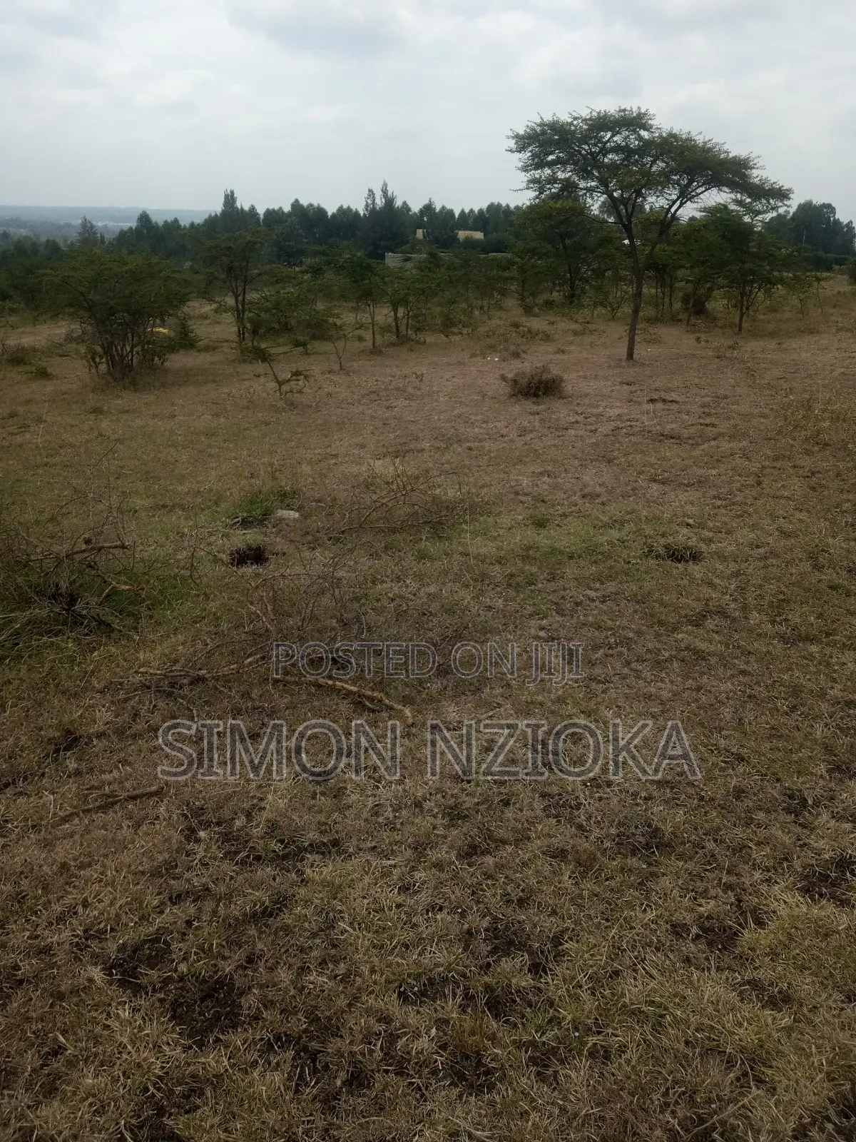 48 Acres Prime Land for Sale in Kitengela Kajiado in Kitengela