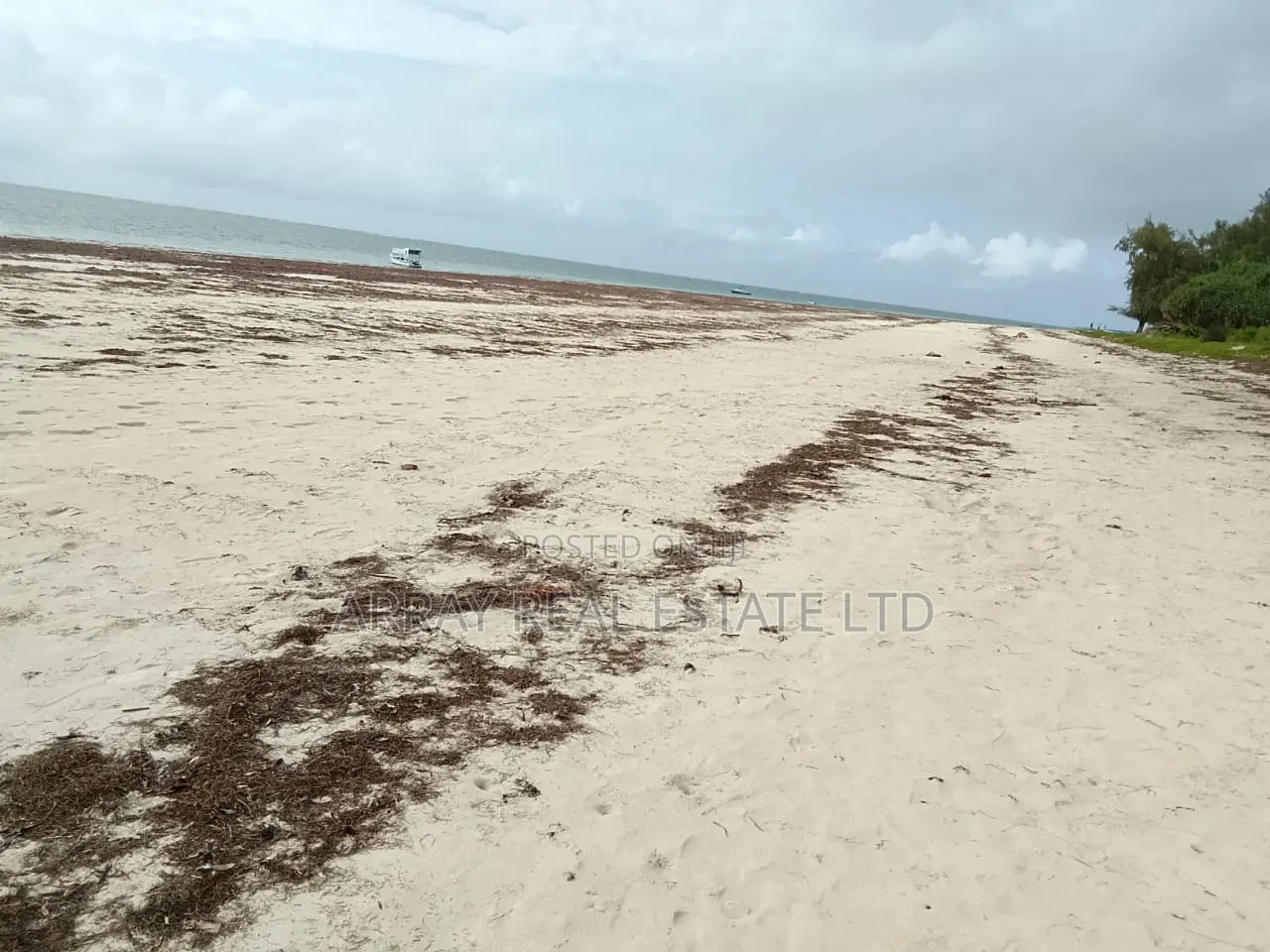 2.5 Acres Galu Kinondo 50M Per Acre in Ukunda