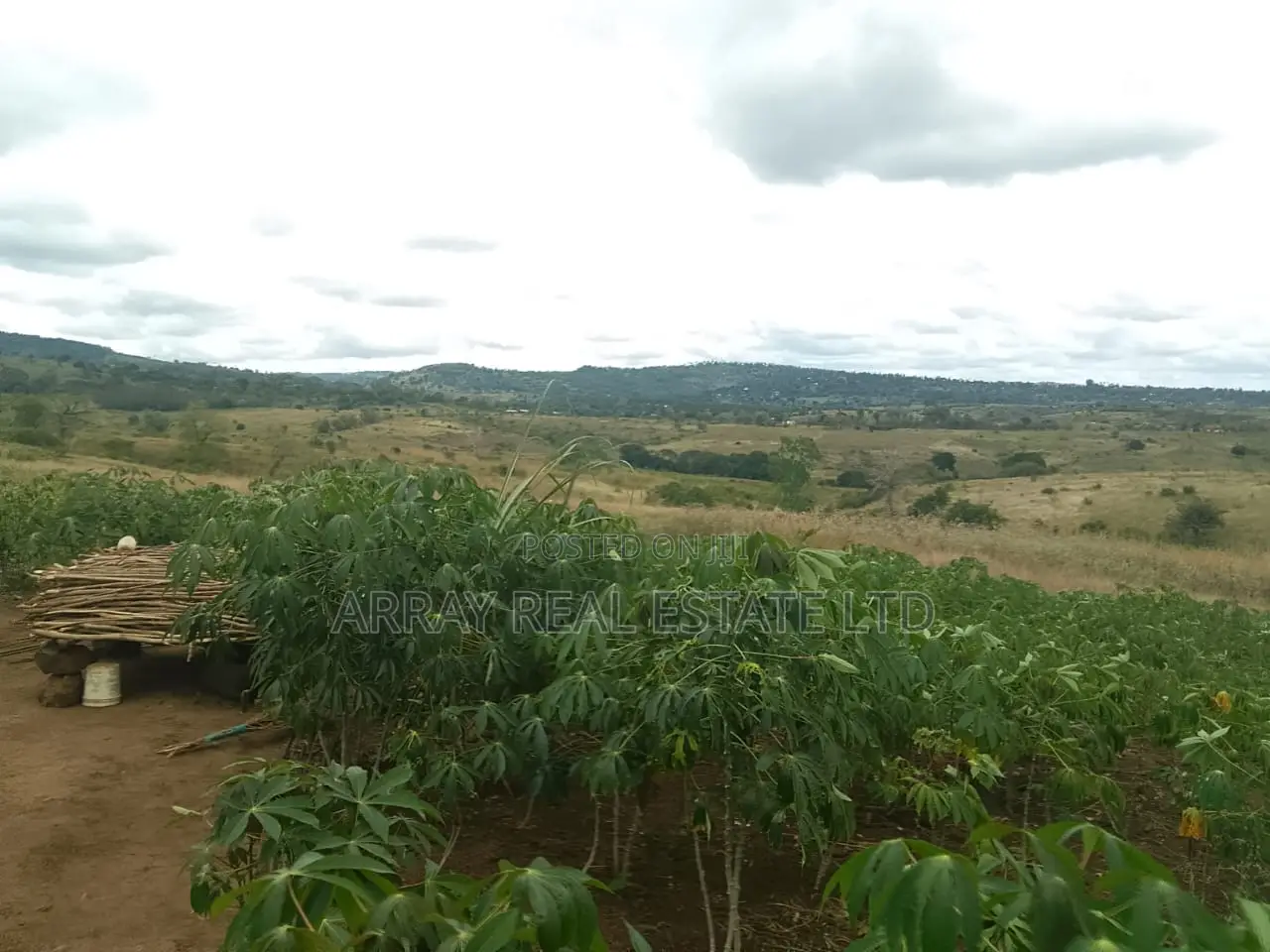 2.5 Acres Galu Kinondo 50M Per Acre in Ukunda