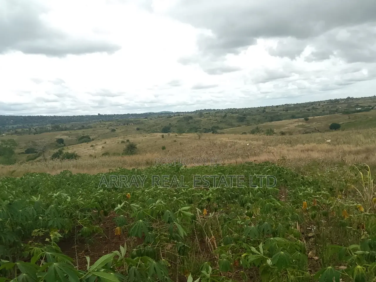 2.5 Acres Galu Kinondo 50M Per Acre in Ukunda
