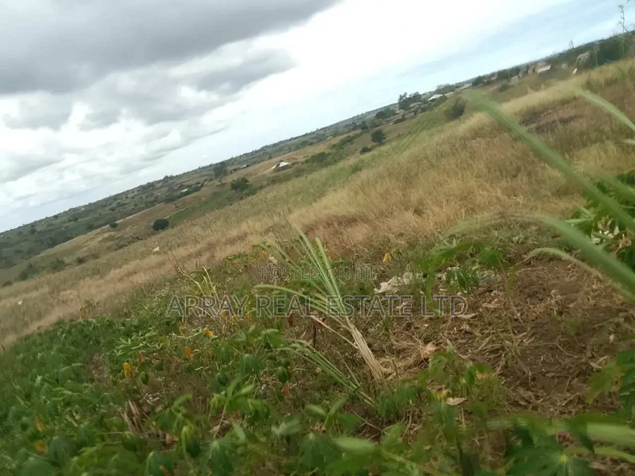 2.5 Acres Galu Kinondo 50M Per Acre in Ukunda