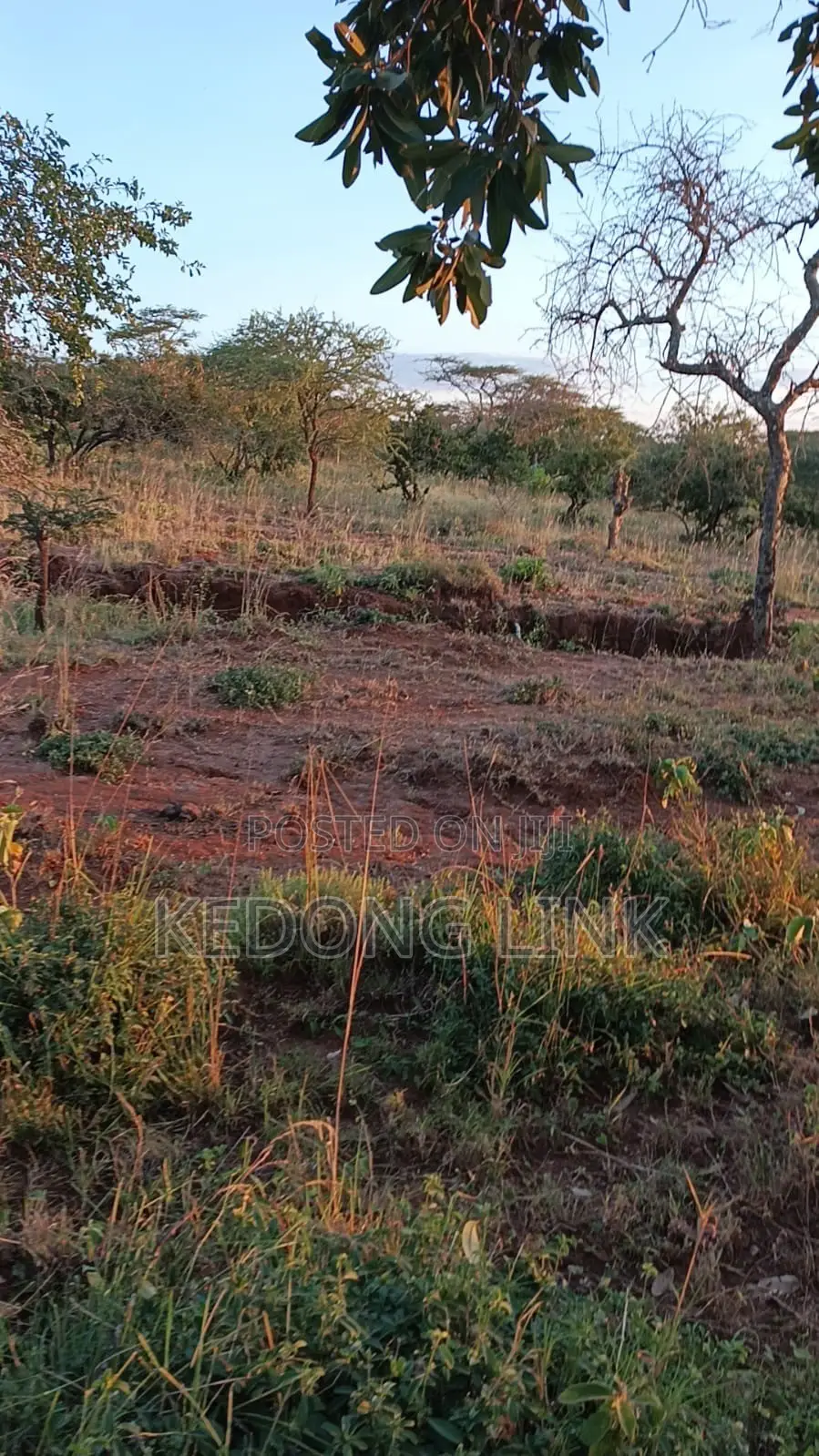 100 Acre Sultan Hamud Hills Ranch for Sale in Kenyawa-Poka