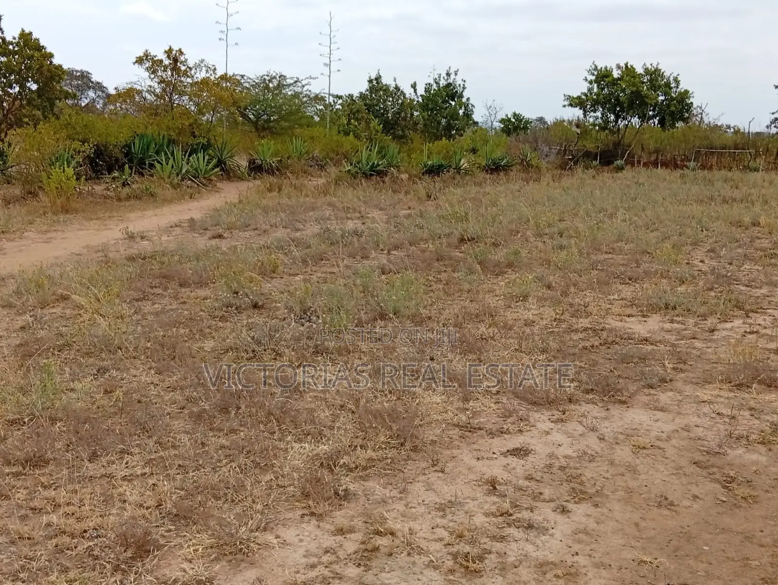 Land for Sale Located in Vondeni Kivaa Machakos at KSH 350,000/= in Kivaa