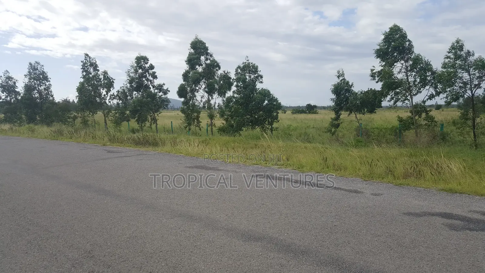 Land for Sale in Pongwe/Kikoneni