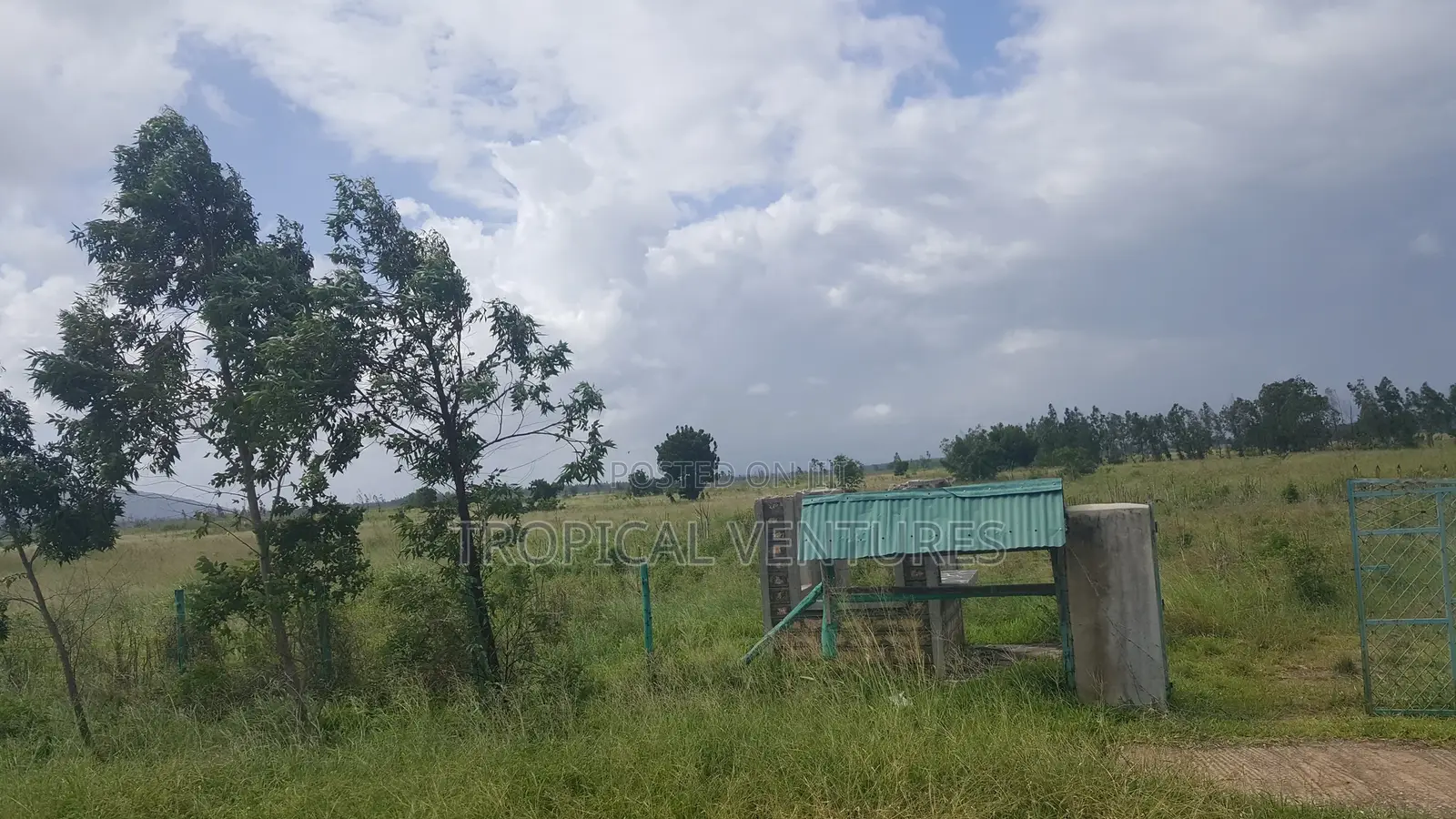 Land for Sale in Pongwe/Kikoneni