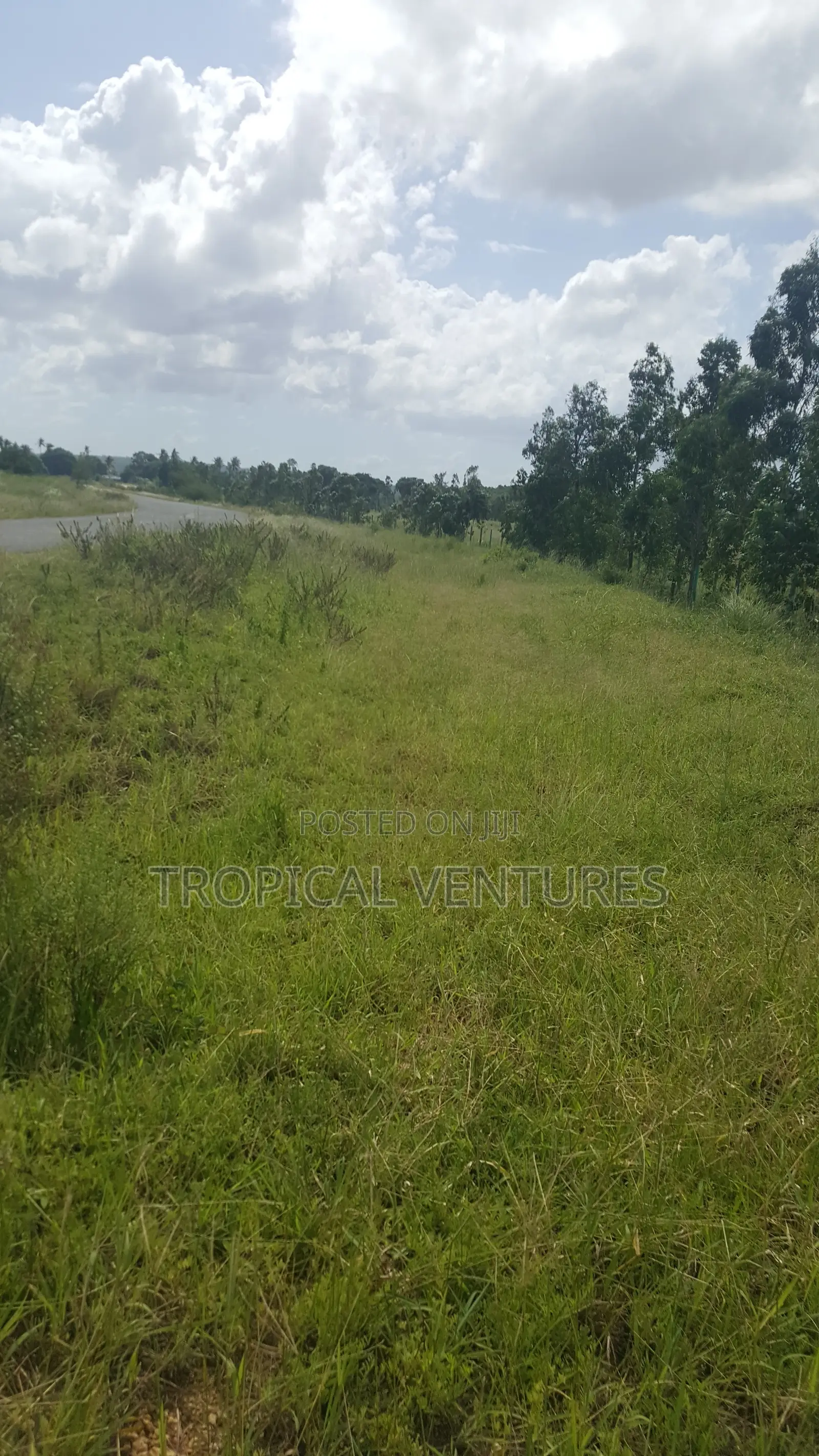 Land for Sale in Pongwe/Kikoneni
