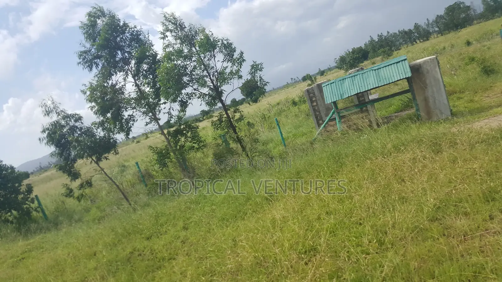 Land for Sale in Pongwe/Kikoneni