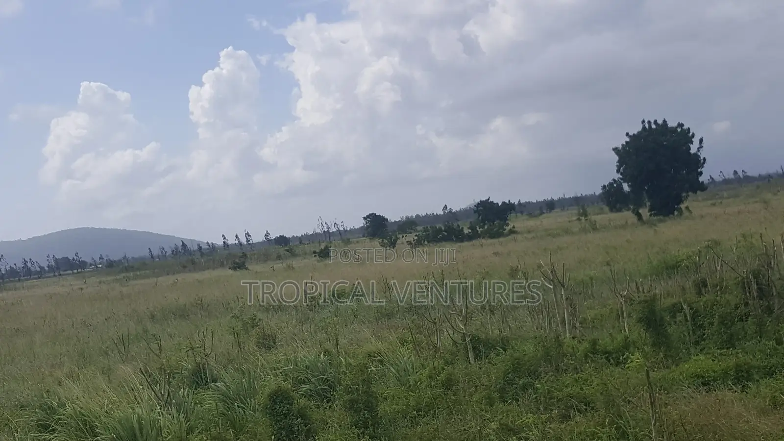 Land for Sale in Pongwe/Kikoneni