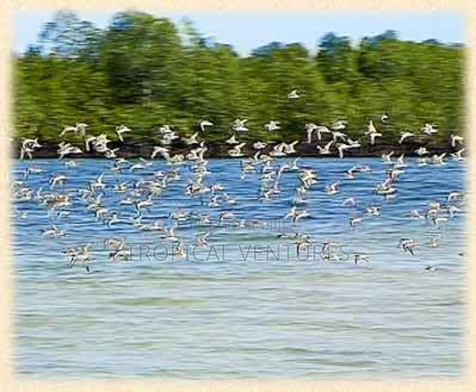 Waterfront Land for Sale in Ramisi
