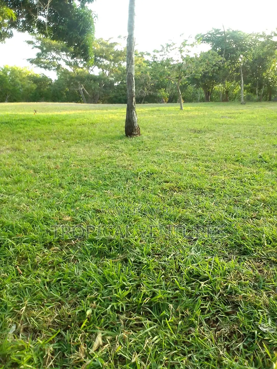 Waterfront Land for Sale in Ramisi